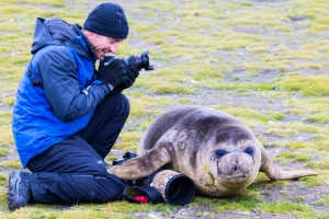 Photographer Chris Bray regarding a weaner seal who has moved on top of some of his gear